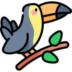 Toucan