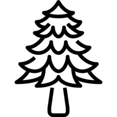 Pine tree