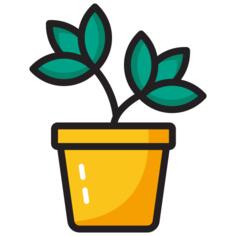盆栽