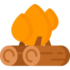 Bonfire