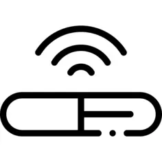 Microchip