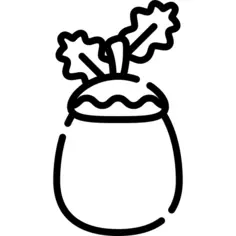 Acorn