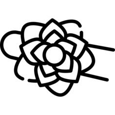 Carnation