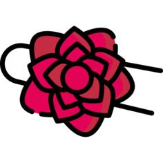 Carnation