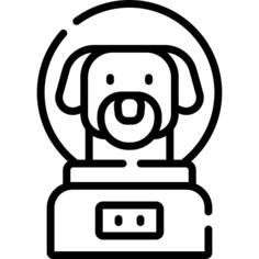 狗