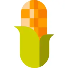Corn