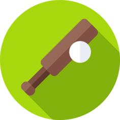 Cricket