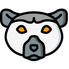 狐猴