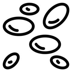 White blood cell