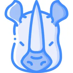 Rhinoceros