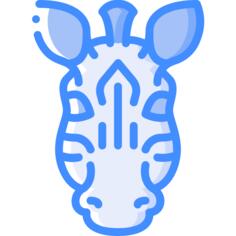斑马