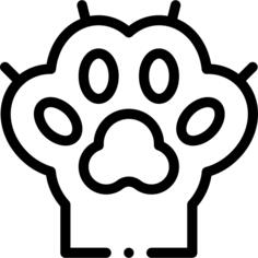 爪子