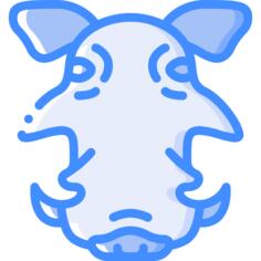 疣猪