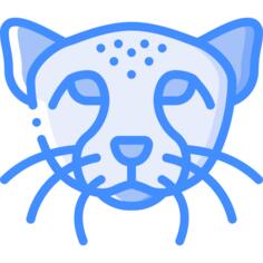 猎豹