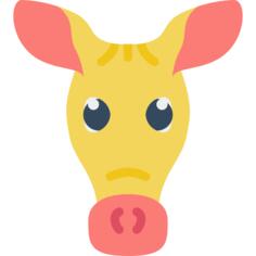Aardvark