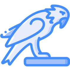 鹘
