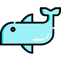海豚