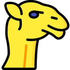 Camel