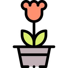 花盆