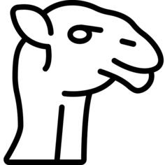 骆驼