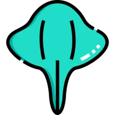 蝠ta