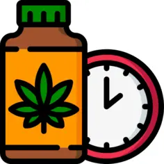 Cannabis
