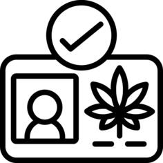 执照