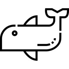 海豚