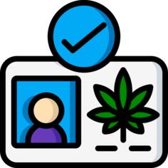 执照