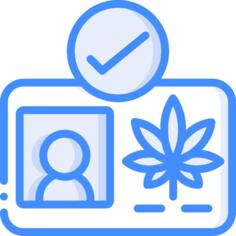 执照