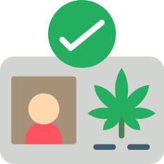 执照