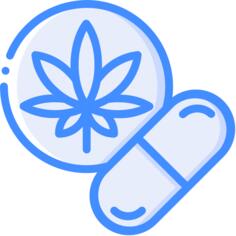 药丸