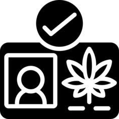 执照