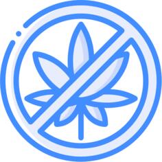 禁酒令
