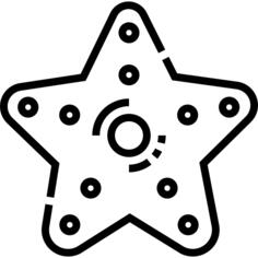 海星