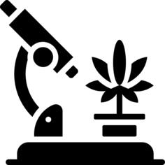 Microscope