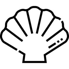 贝壳