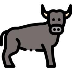 Bull