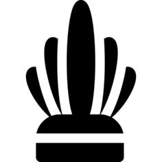 Feathers