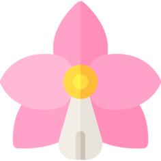 Orchid