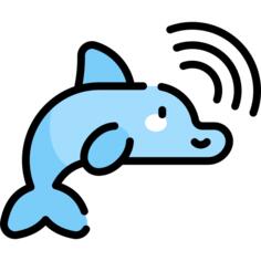 海豚