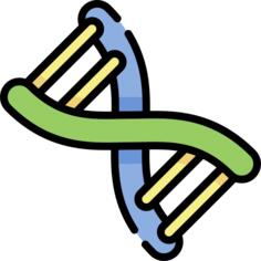 遗传的
