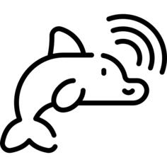 海豚