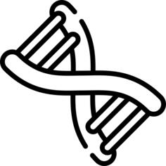 遗传的