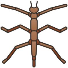 Bug