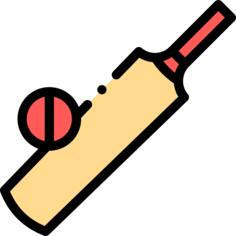 Cricket