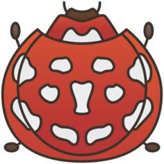 瓢虫