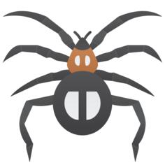 Spider
