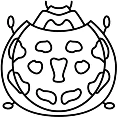 Ladybug