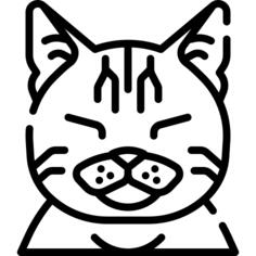 猫